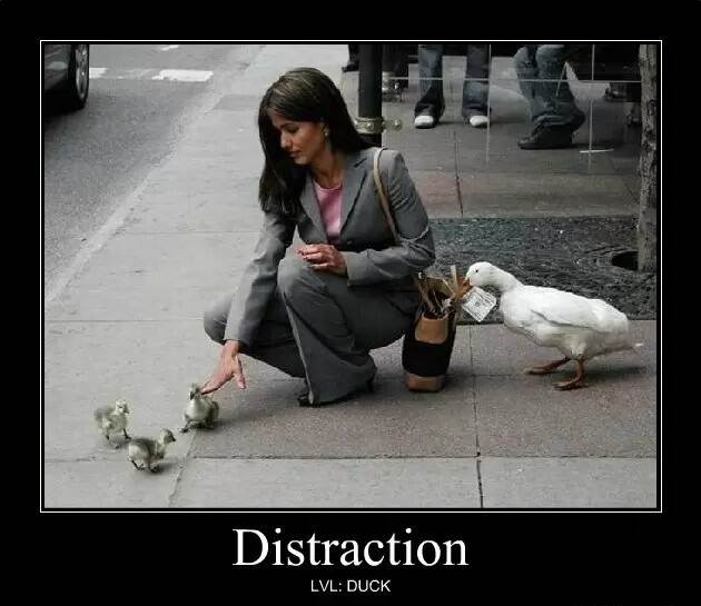 Distraction